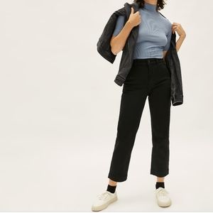 Everlane Straight Leg Cop Pants